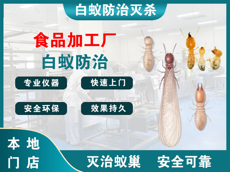 宁波市食品加工厂白蚁防治