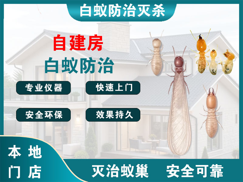 宁波市自建房白蚁防治