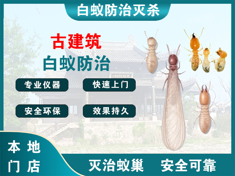 宁波市古建筑白蚁防治