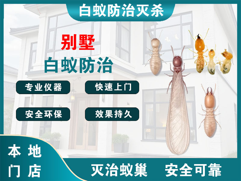 宁波市别墅白蚁防治