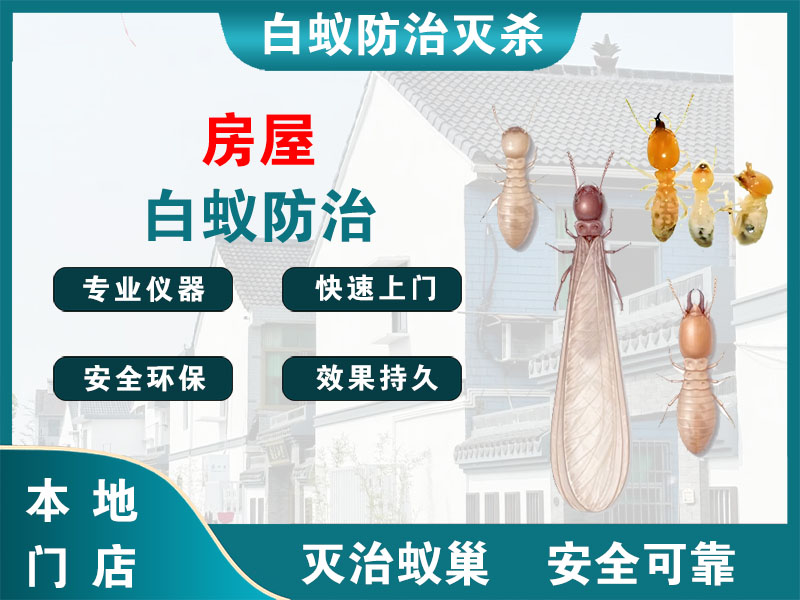 宁波市房屋白蚁防治